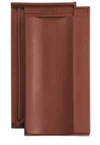 Smeđa   engoba - main