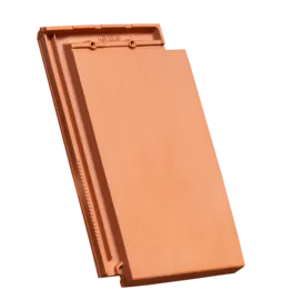 303504.png