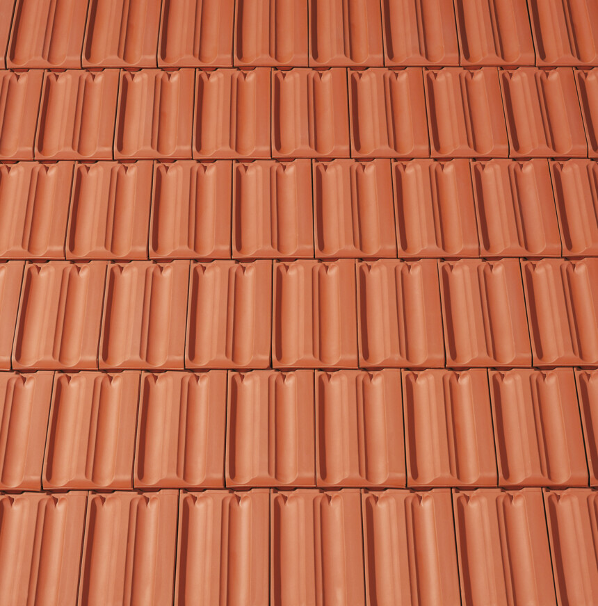 Crvena   prirodno – laying