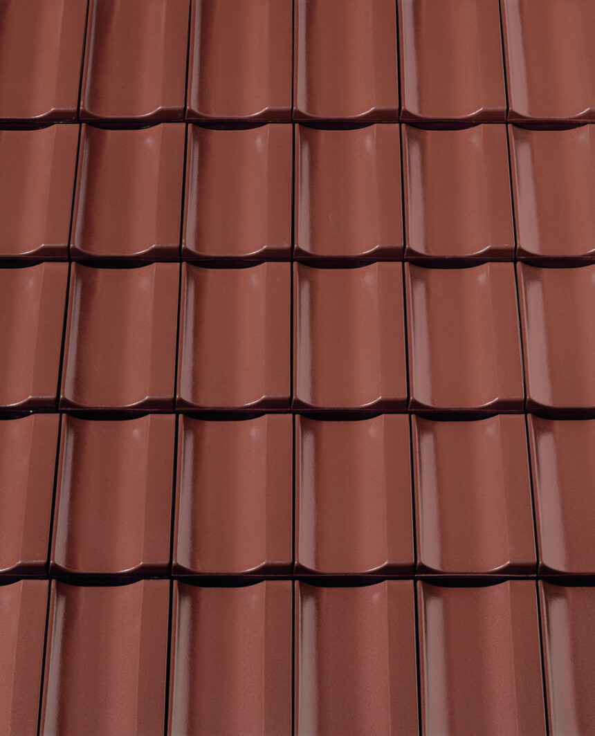 Smeđa   engoba – laying